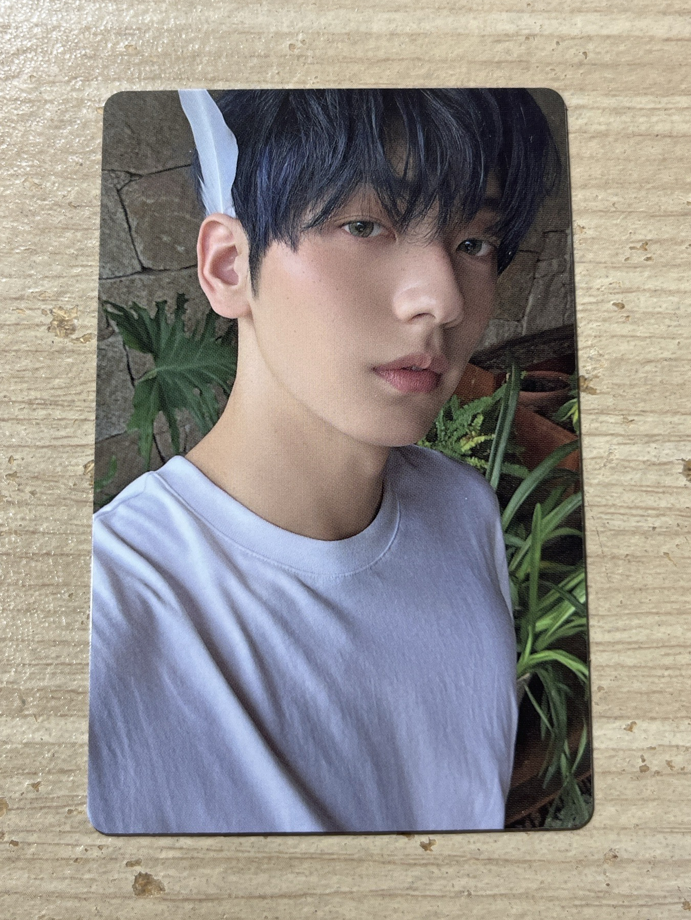 🟡崔秀彬 迷七 專輯卡 單封 Angel版