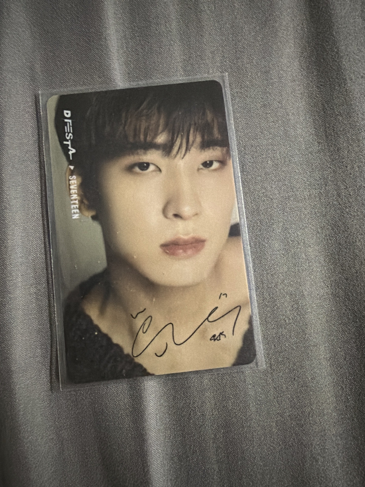 D’FESTA 圓 黑熊卡背