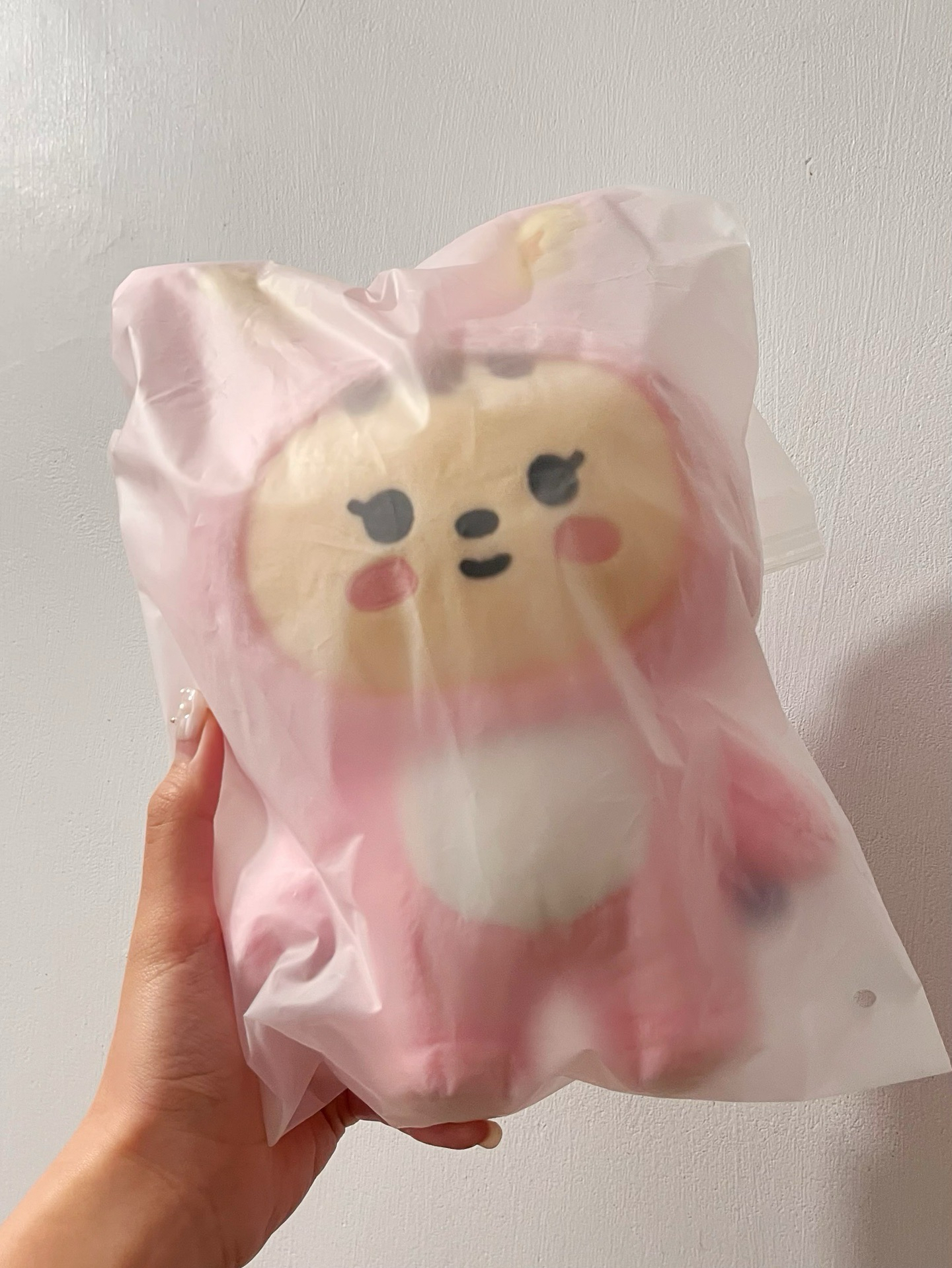 miniteen 兔拉米🐰站娃