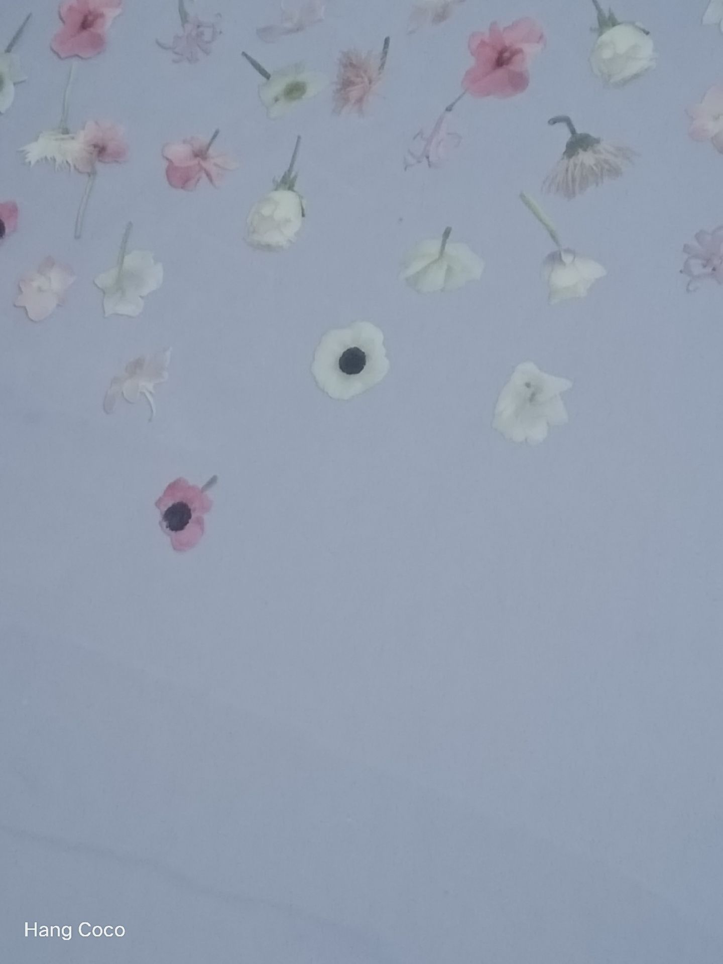 IU•絕版LILAC寫真集