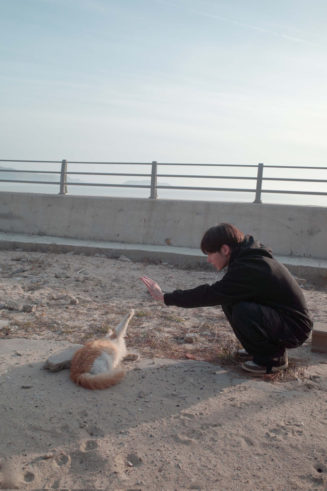 Hsuan（紙箱可能二手 其他包材全新）