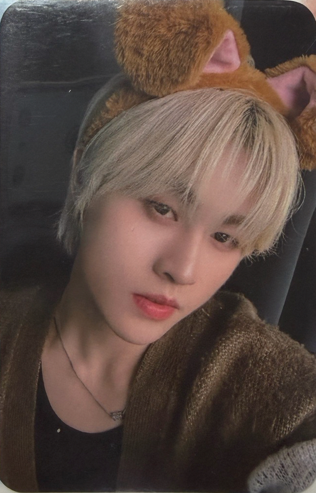 SEVENTOEIGHT 美祥 M 星動樂園狗狗滿額