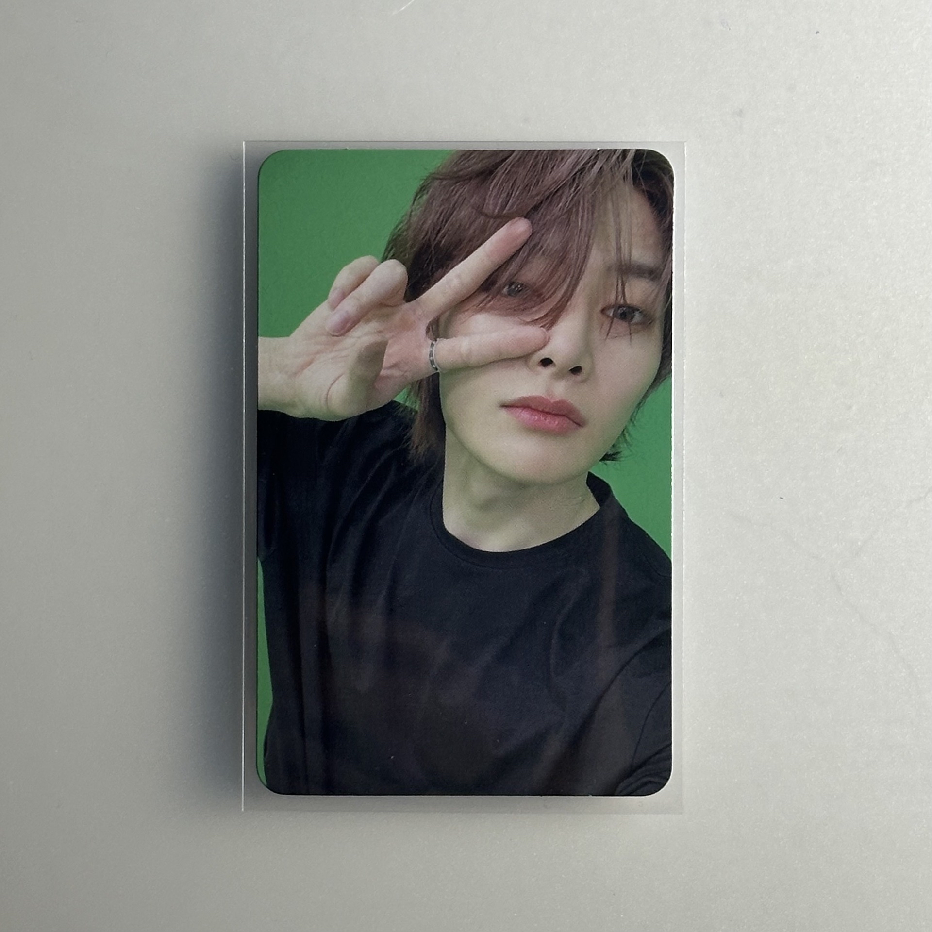 精寅招財屬來寶🫰🏻