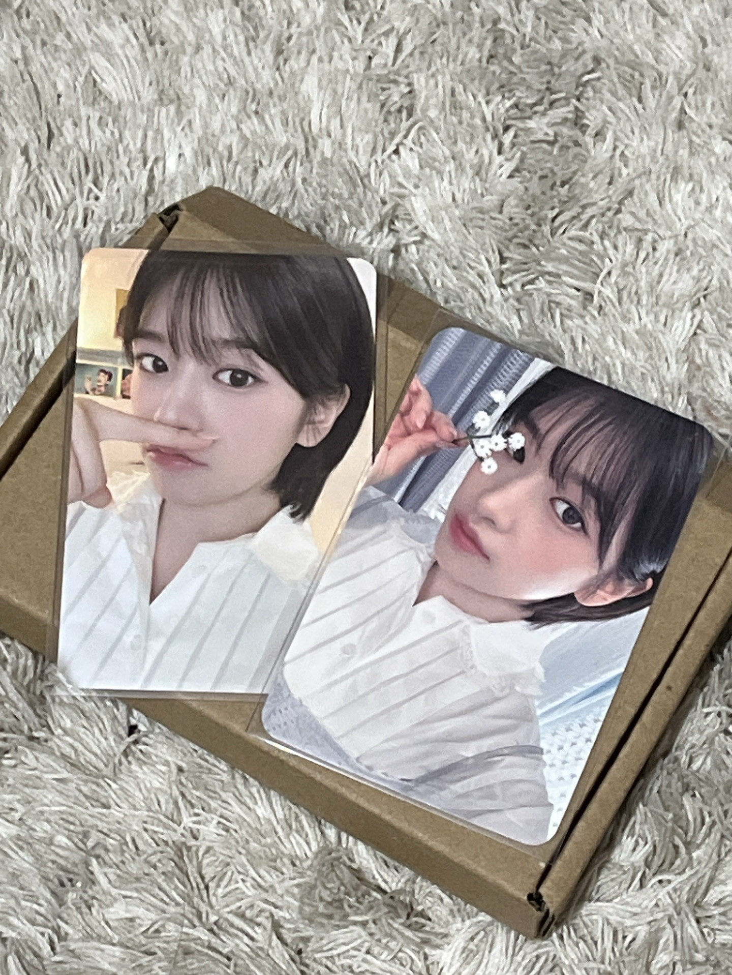 🎀安2024年曆固配+sw特典