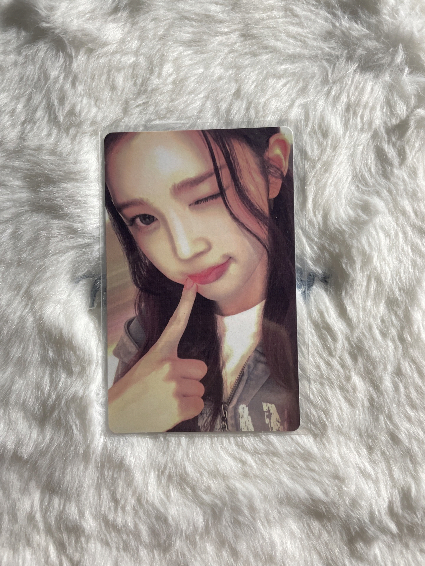 Ana Focus wvs 簽售卡 