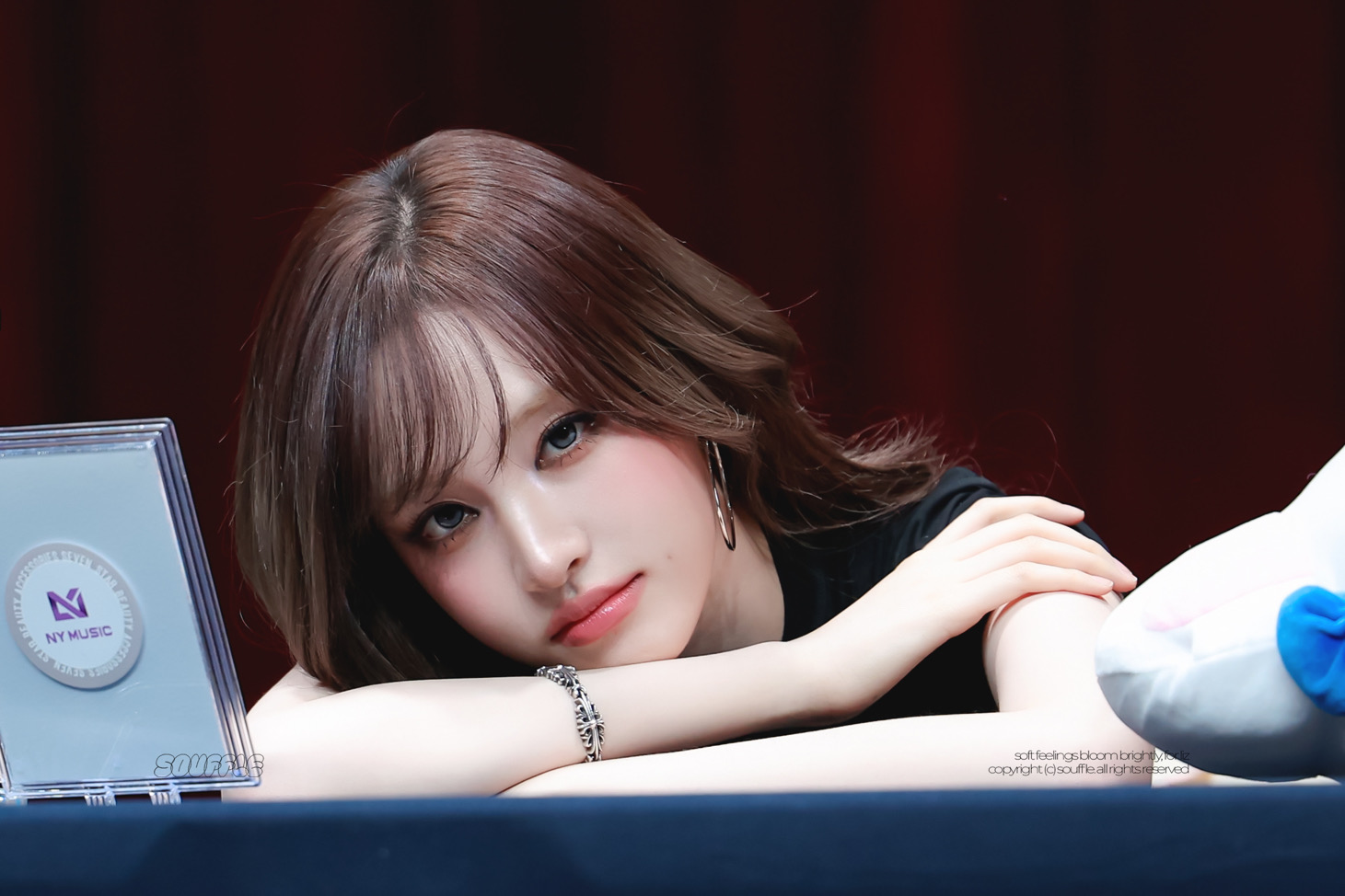리즈の貓