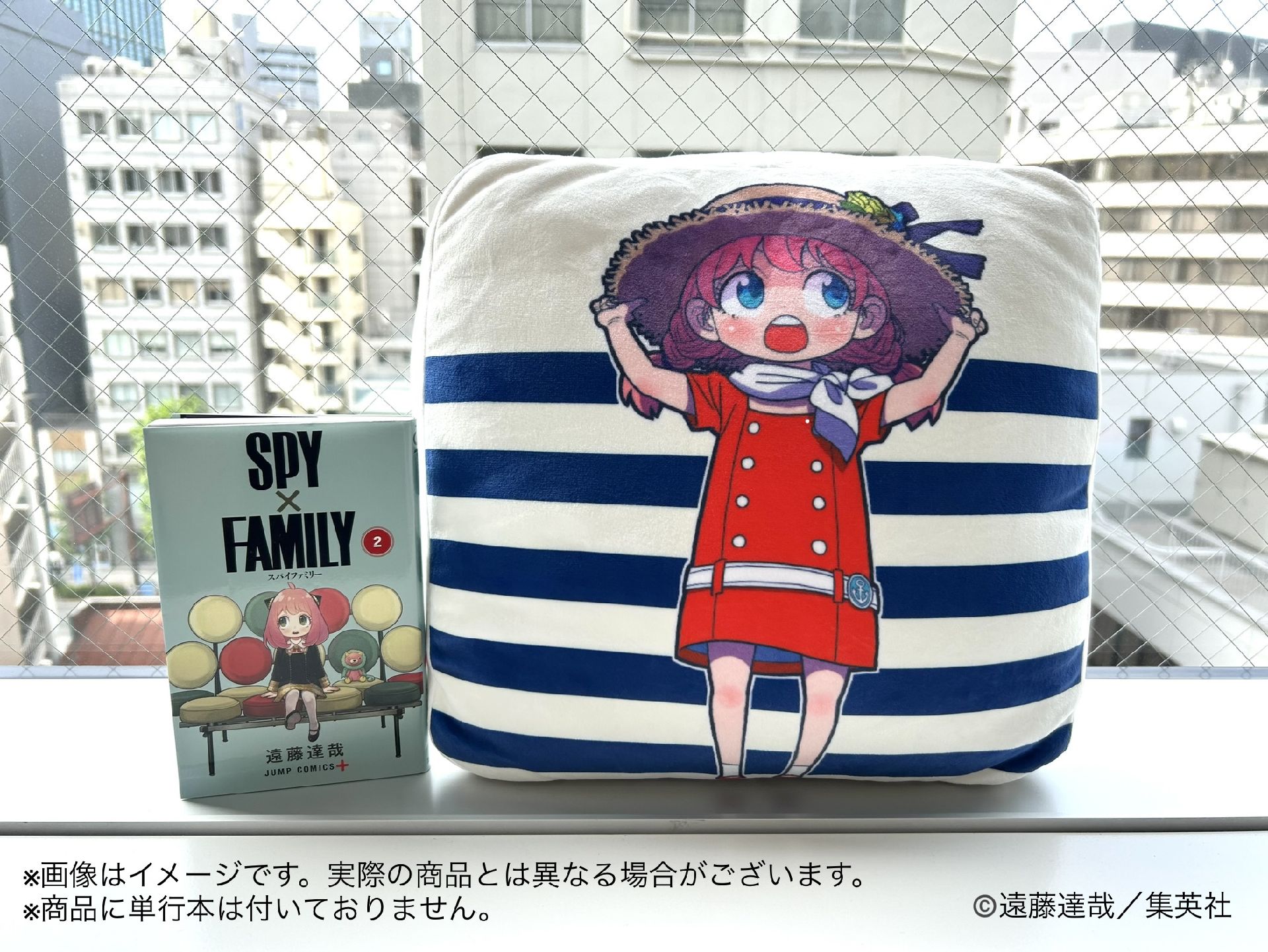靠墊/枕