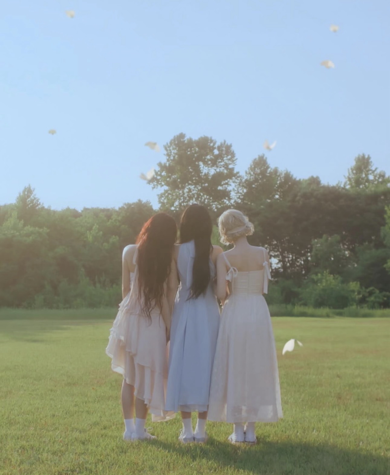 🐱下單 迷1+會員禮