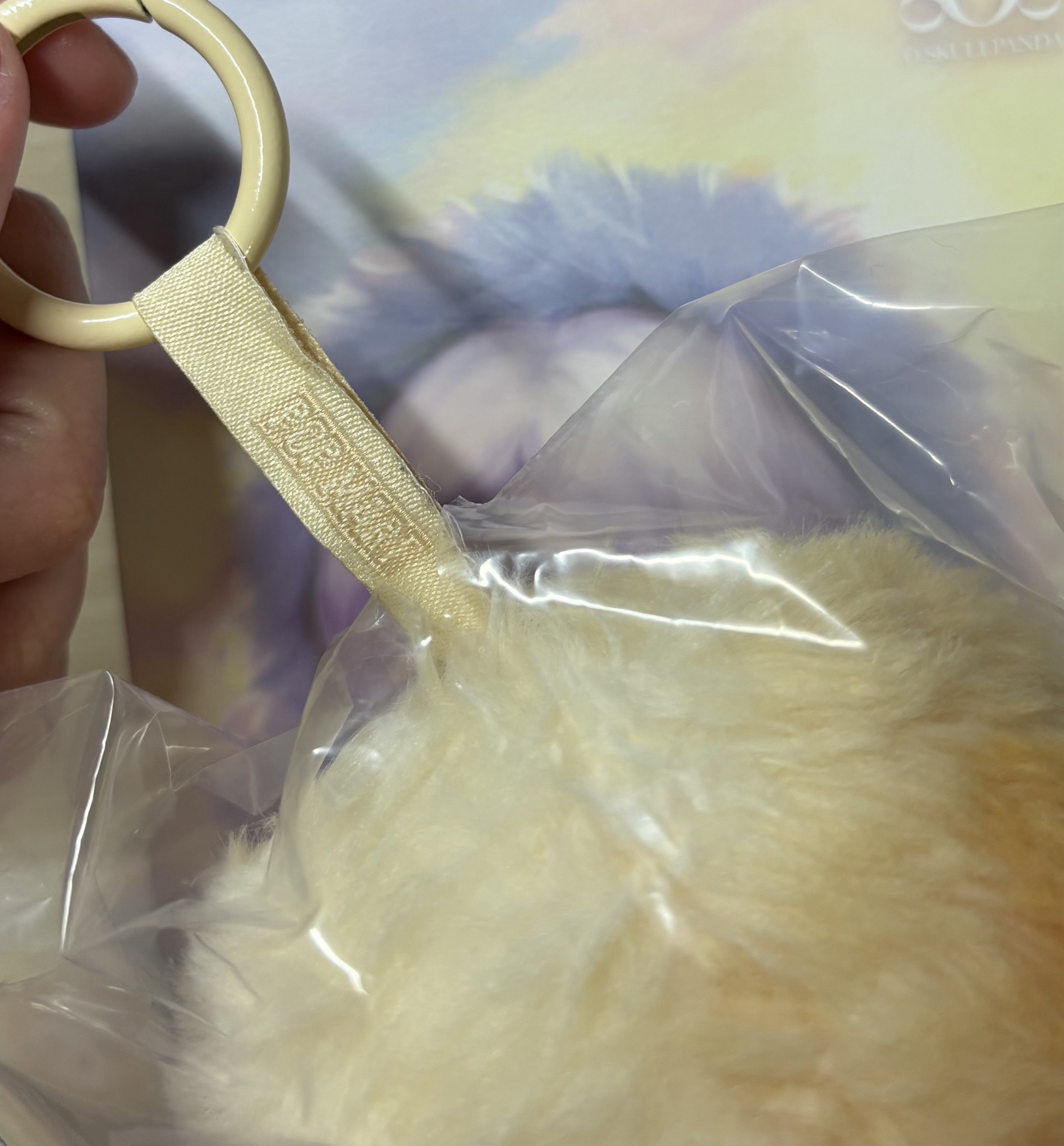 POP MART SKULLPANDA SP 光織園 朝暉