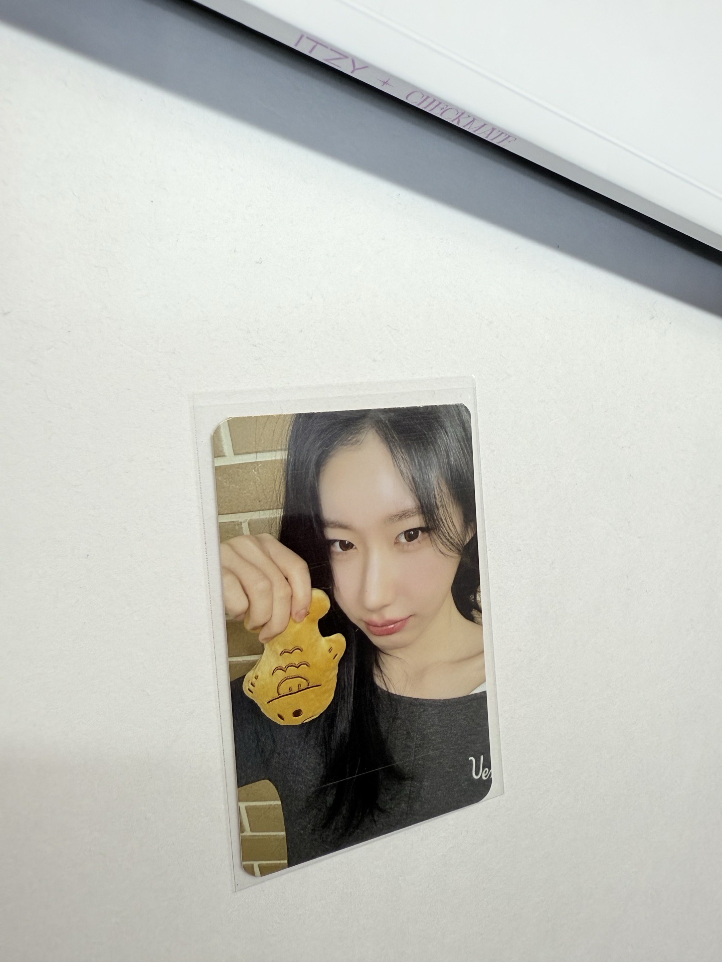 TNVS sw 日本 線下 簽售卡 鯛魚燒 領