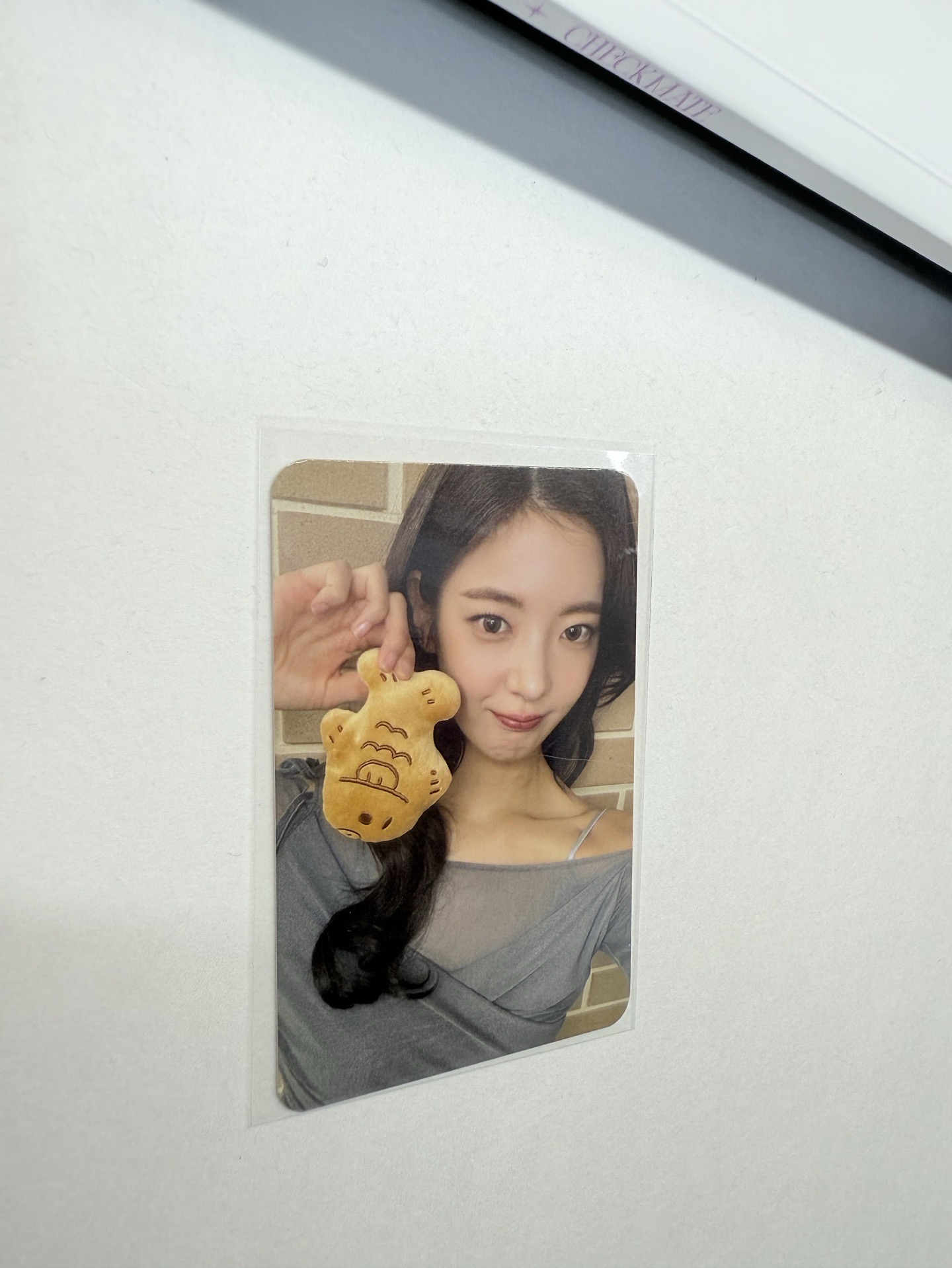 TNVS sw 日本 線下 簽售卡 鯛魚燒 粒