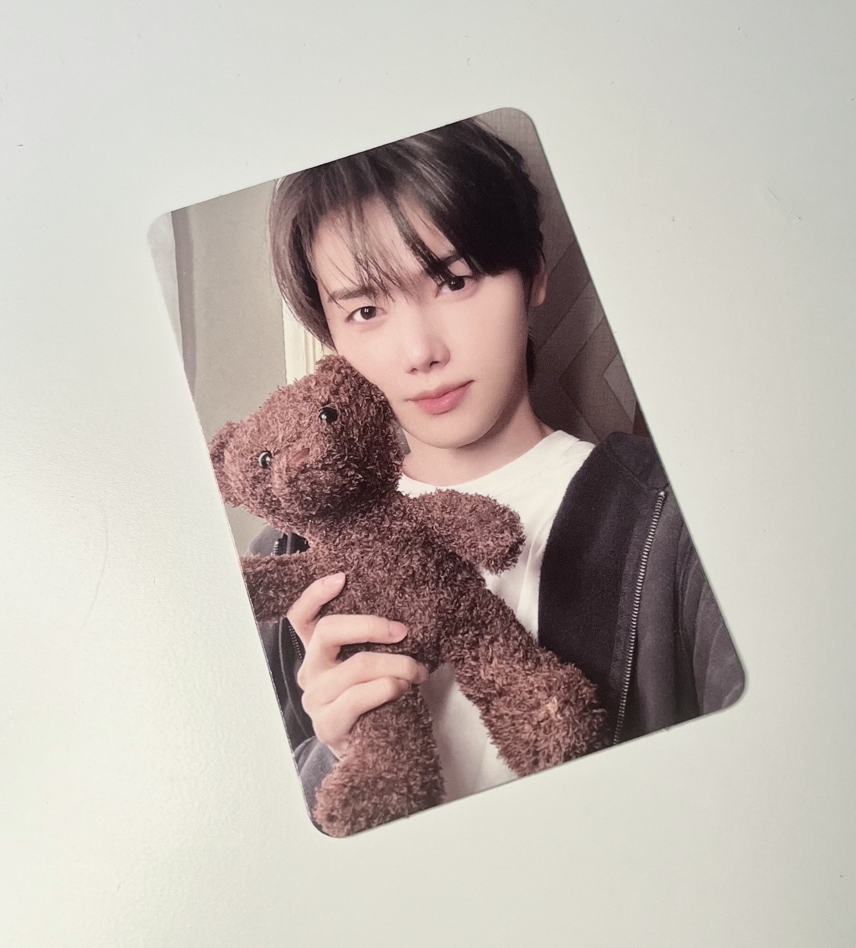 DtC 單封船特 泰迪熊