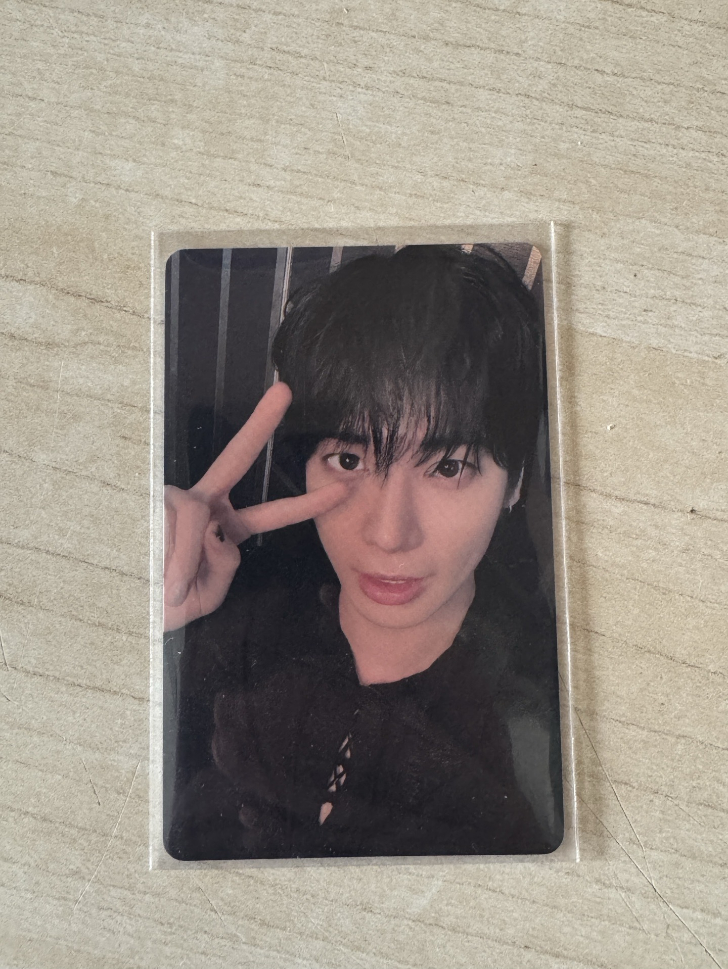 顯而易見貓懂你的心