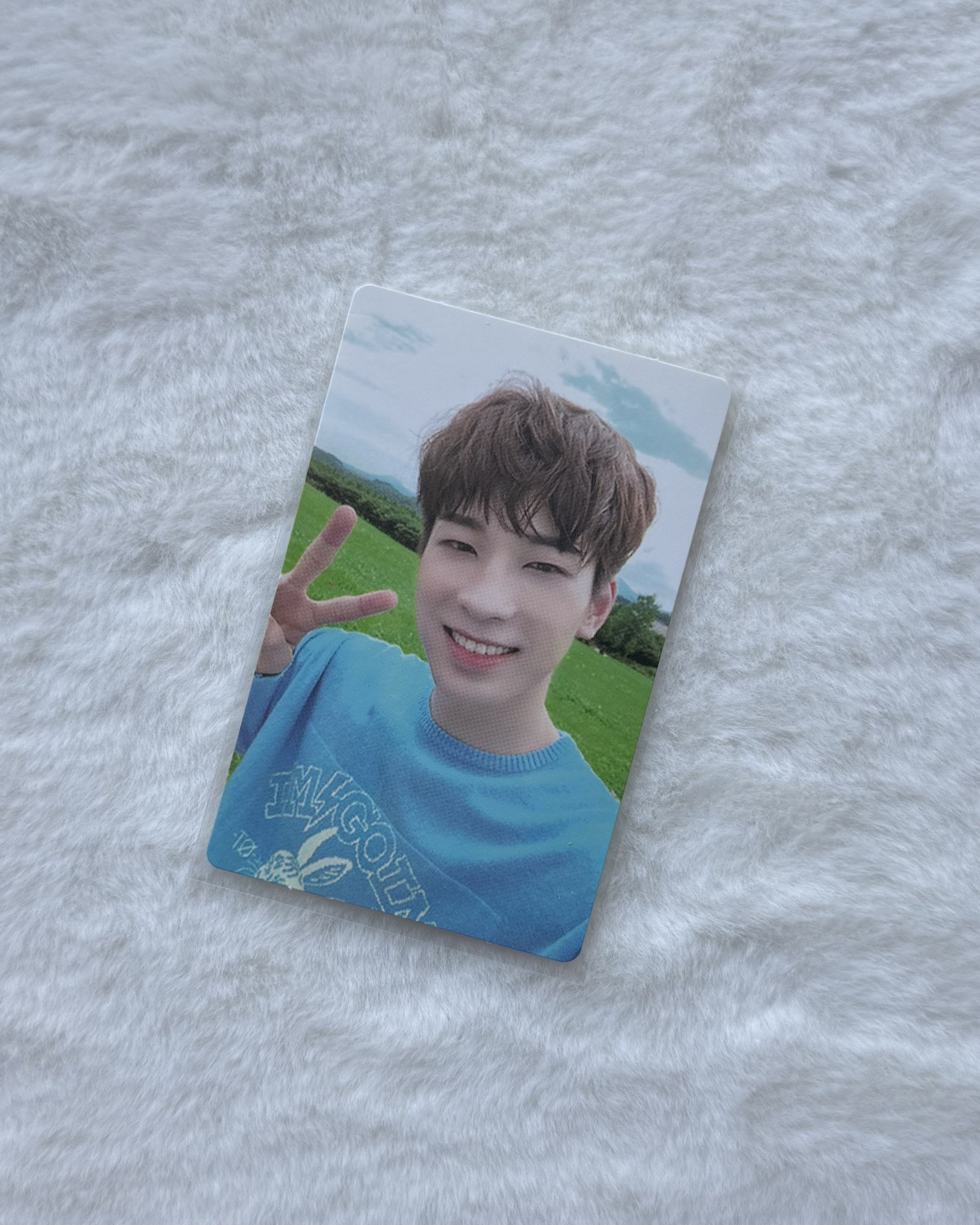 草地比耶圓 an ode