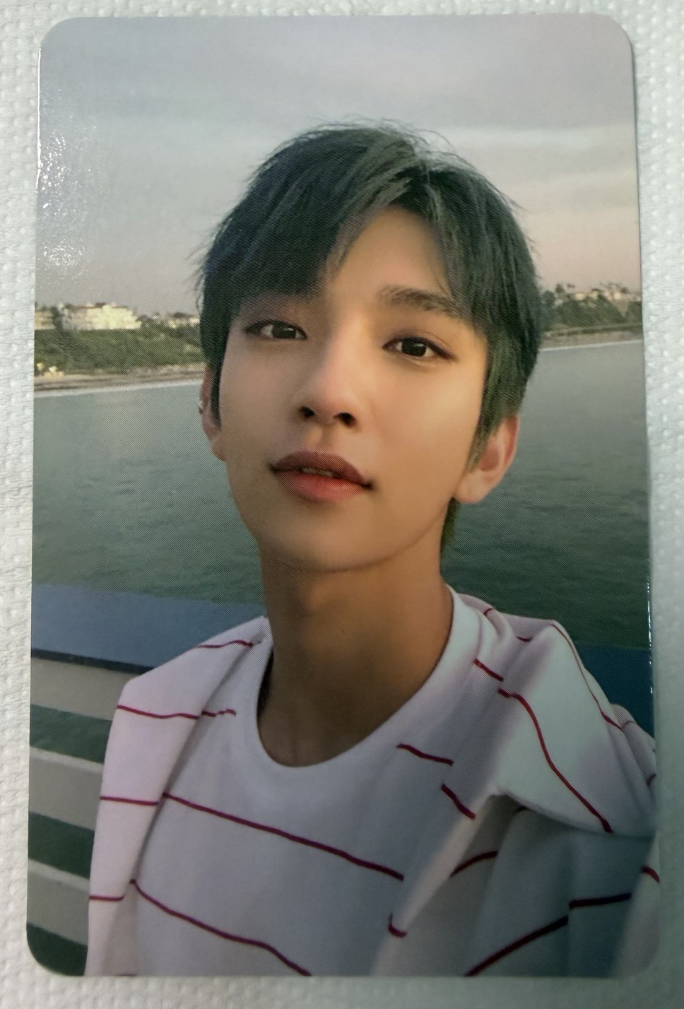 迷七 藍髮知秀 專卡