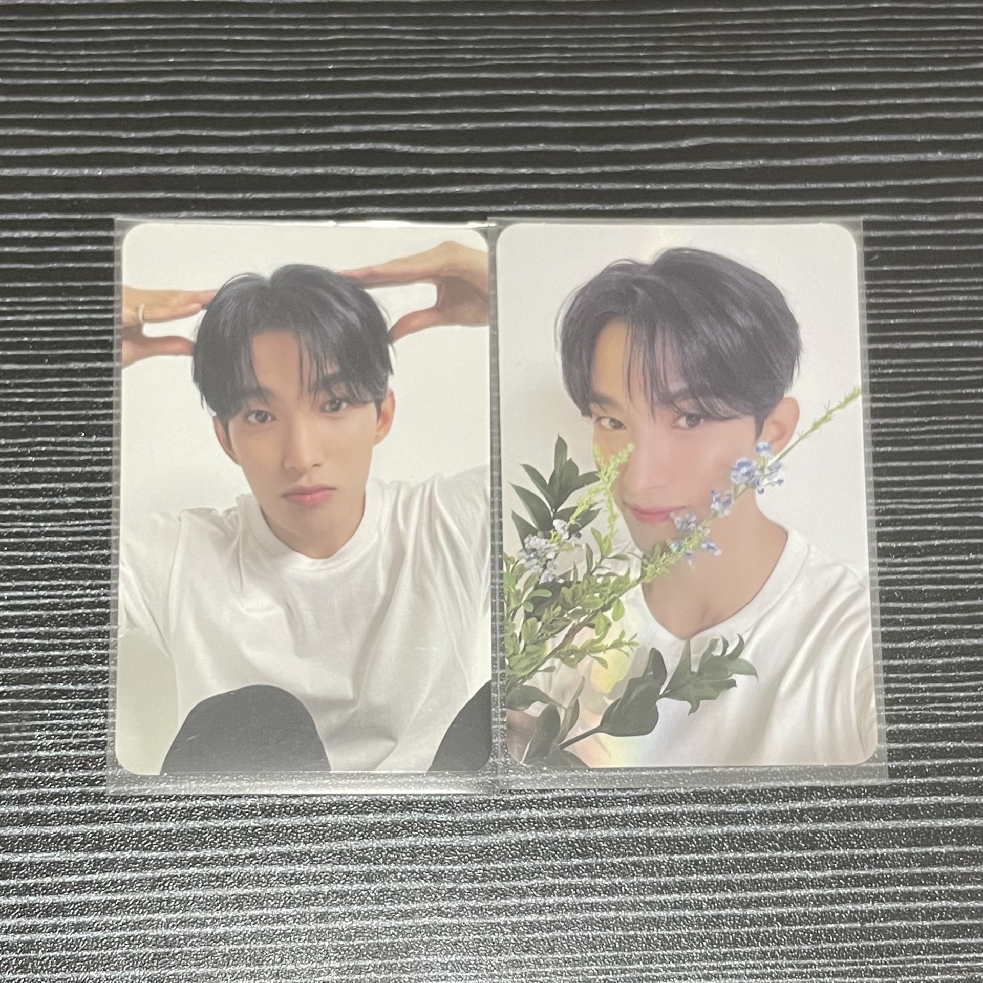 超萌狗狗碩 需綁