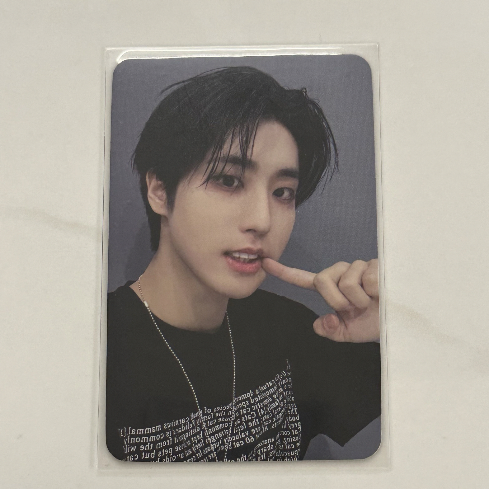 我要假裝是倉鼠 樂-STAR sr特典卡 