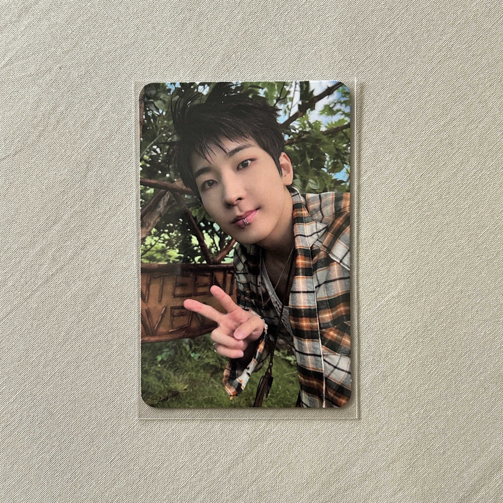 SVT｜迷十一 SP特典 圓