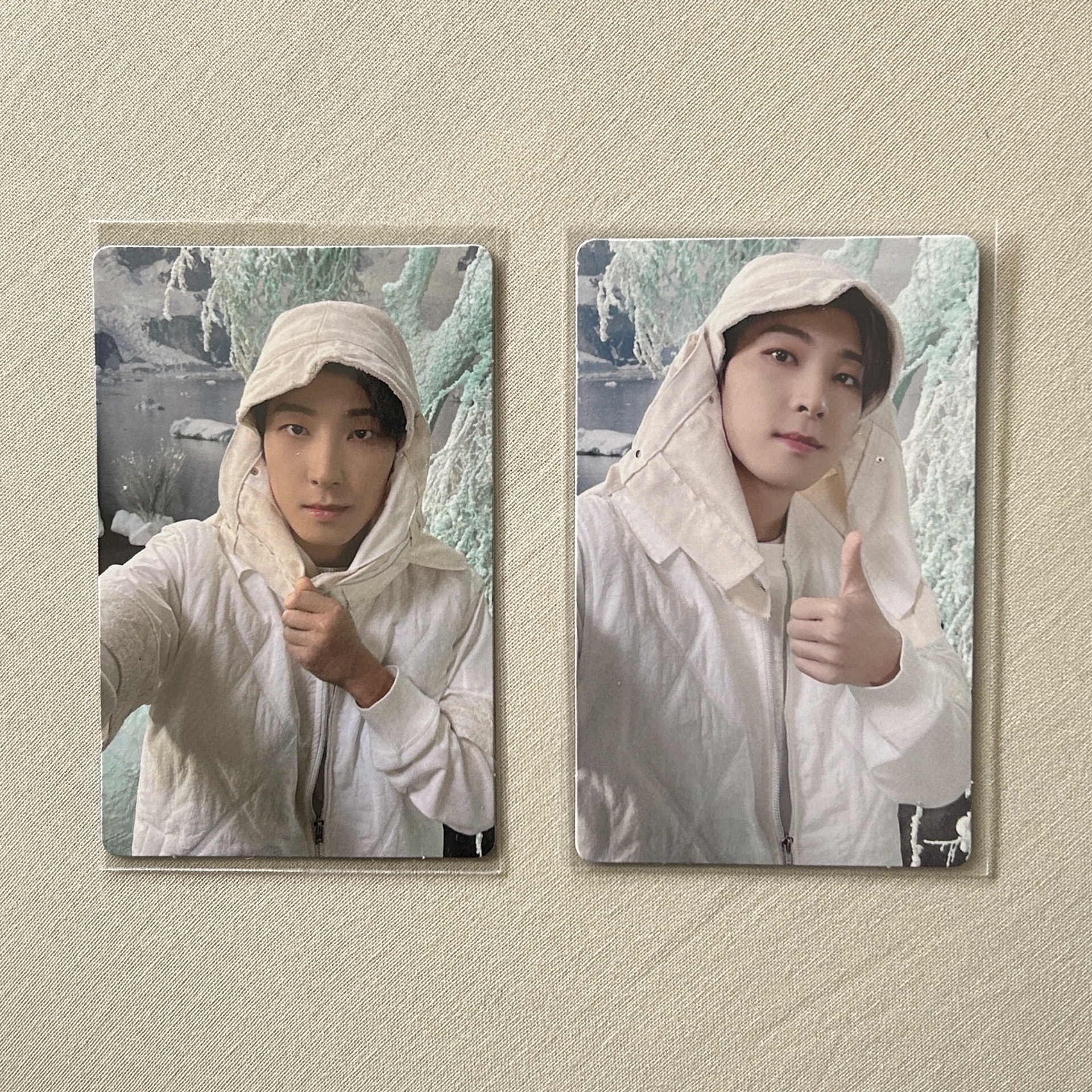 SVT｜正四後續 專卡 圓