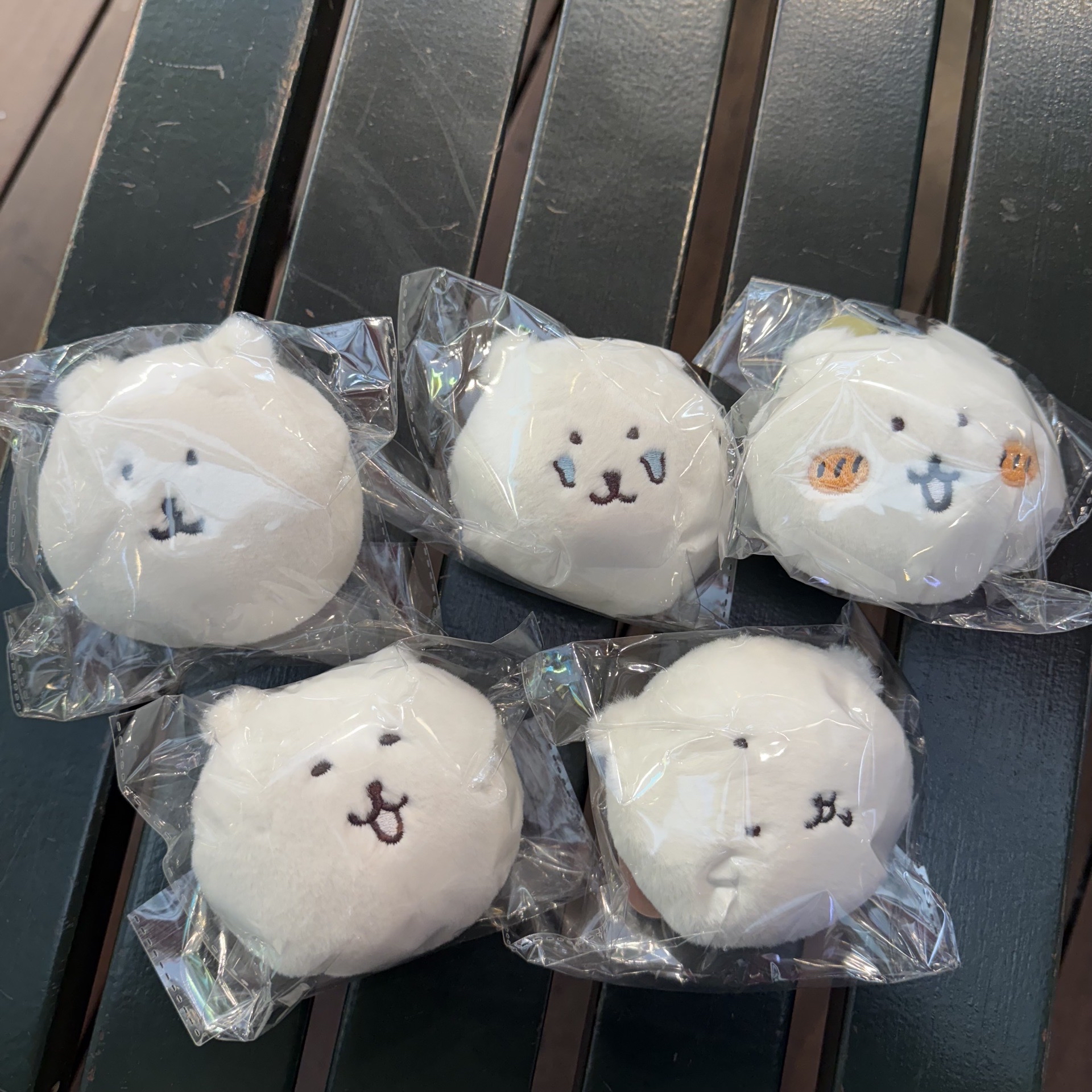 Nagano 自嘲熊 白熊 抽賞 E賞 大頭吊飾