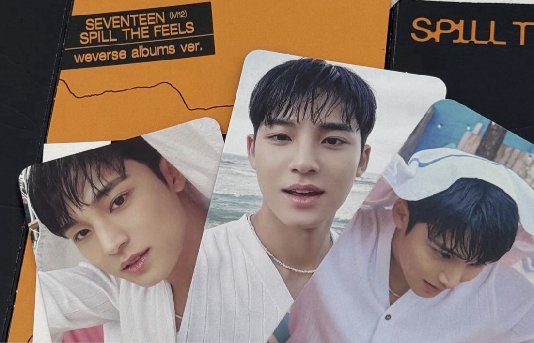 架上全包結果一半都是小狗的金珉奎