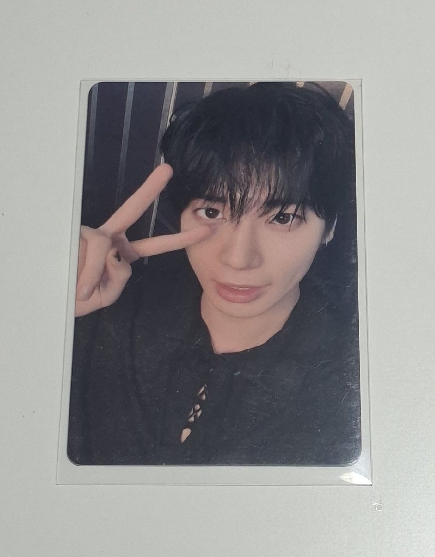 顯中背 （顯而易見貓懂你的心）