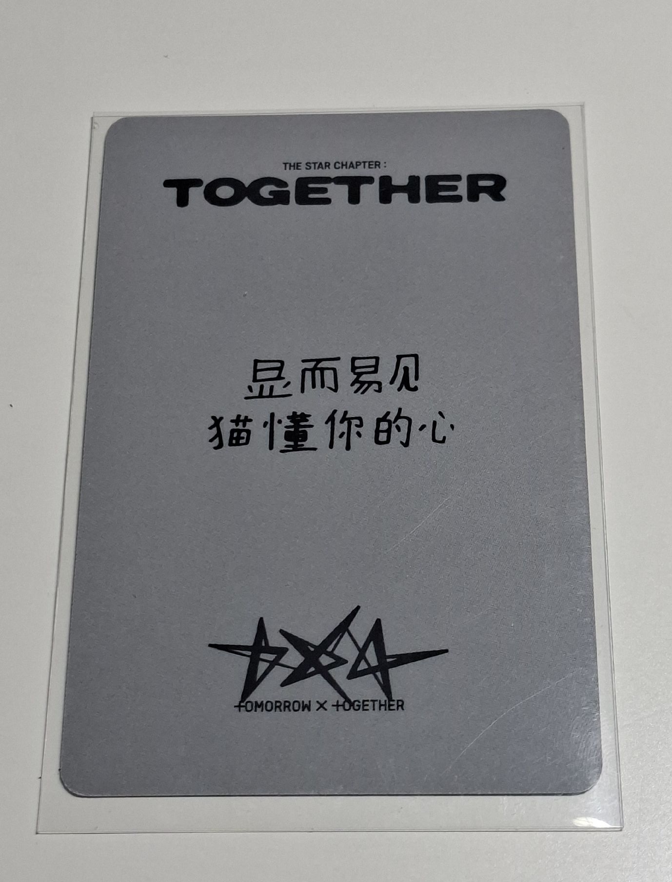 顯中背 （顯而易見貓懂你的心）