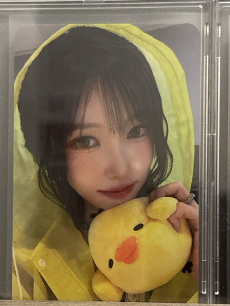 懵懵兩張+電子空專未掃