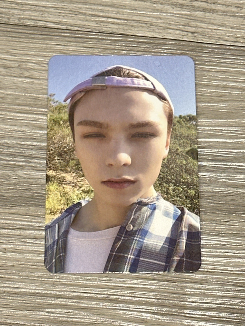 mini7 專卡 Vernon 山海腦門