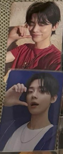 愛語竣專卡（三張不拆）