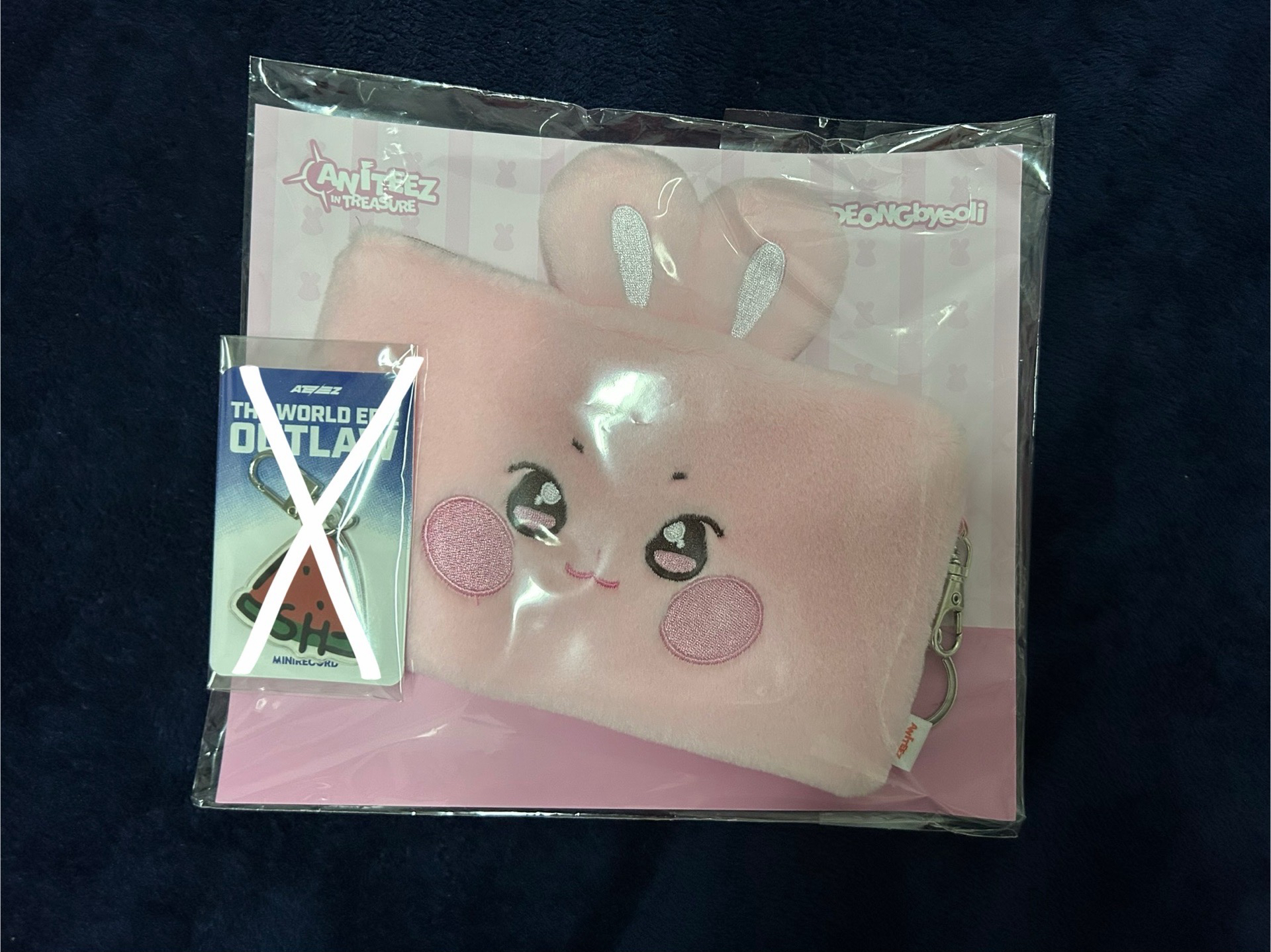 ANITEEZ IN TREASURE 收納布包