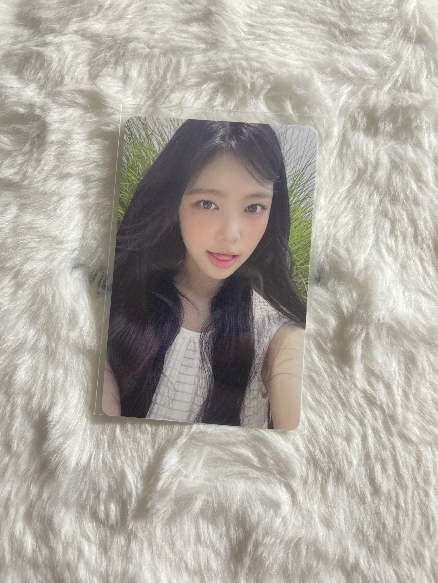 IAN 年曆2026 年曆卡 固配