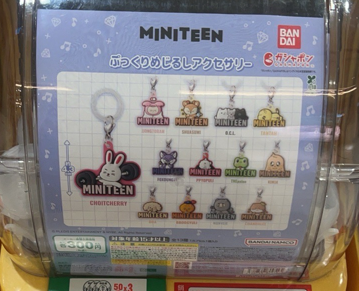 SVT miniteen扭蛋