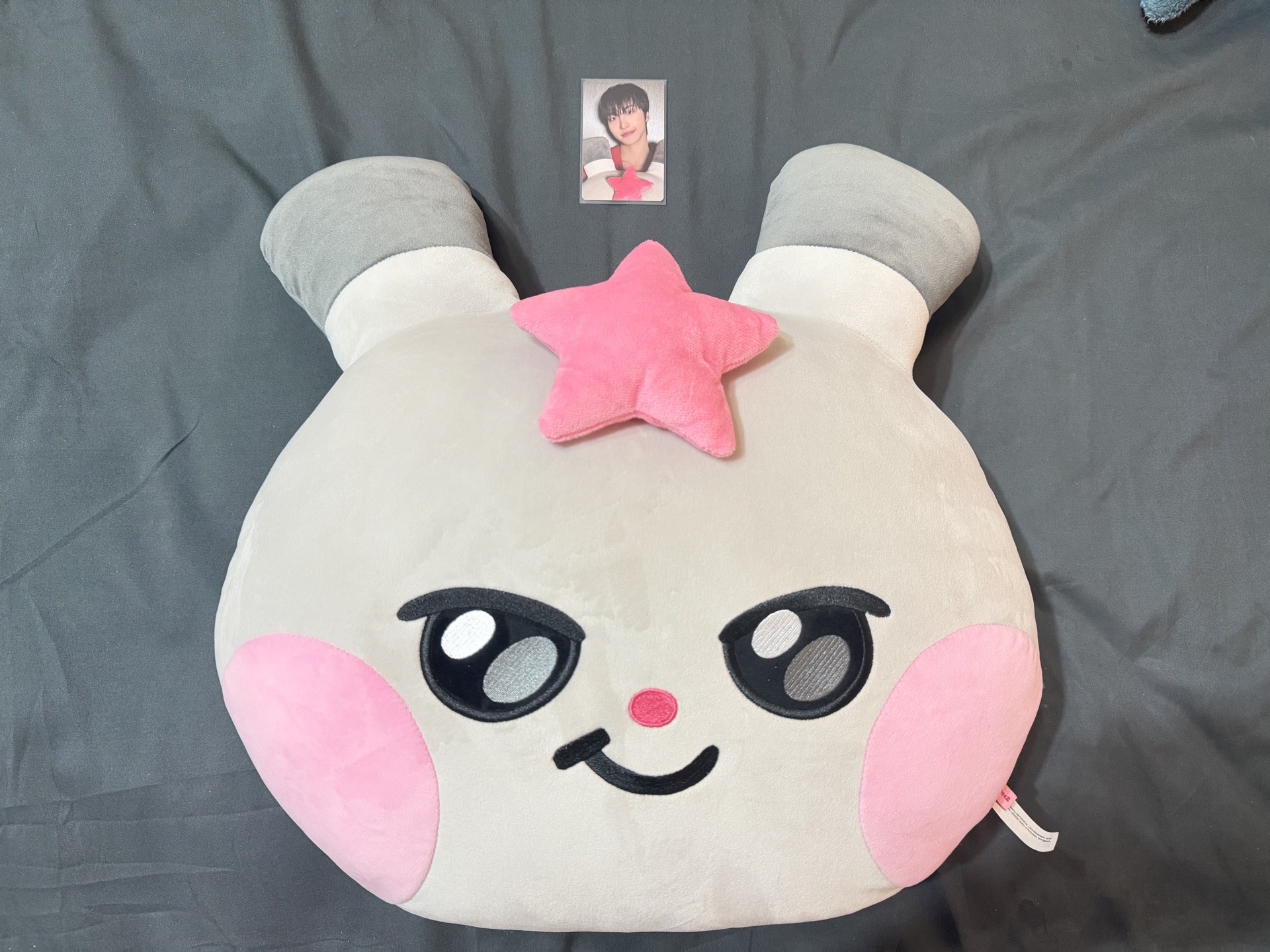 Mighteez 星化抱枕