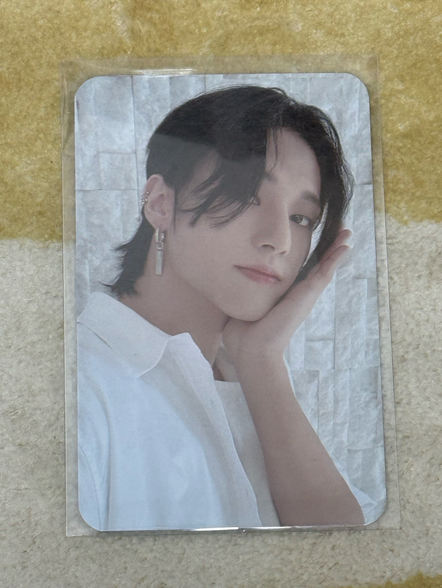 漂亮的忘記自己有複數的🐈‍⬛