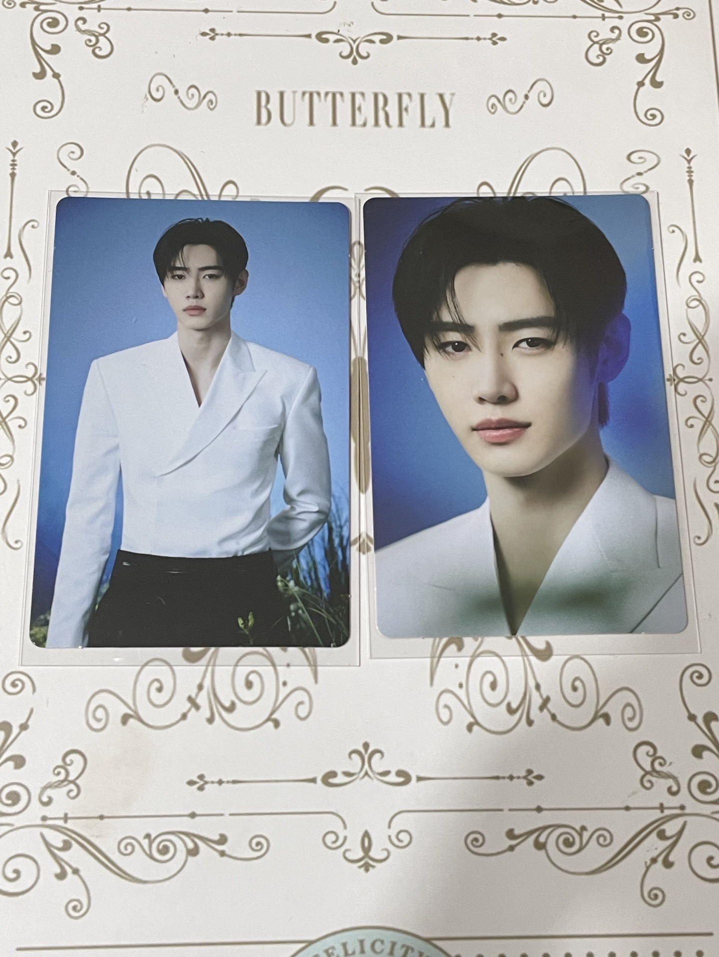 WTL隨機卡訓🧛🏻