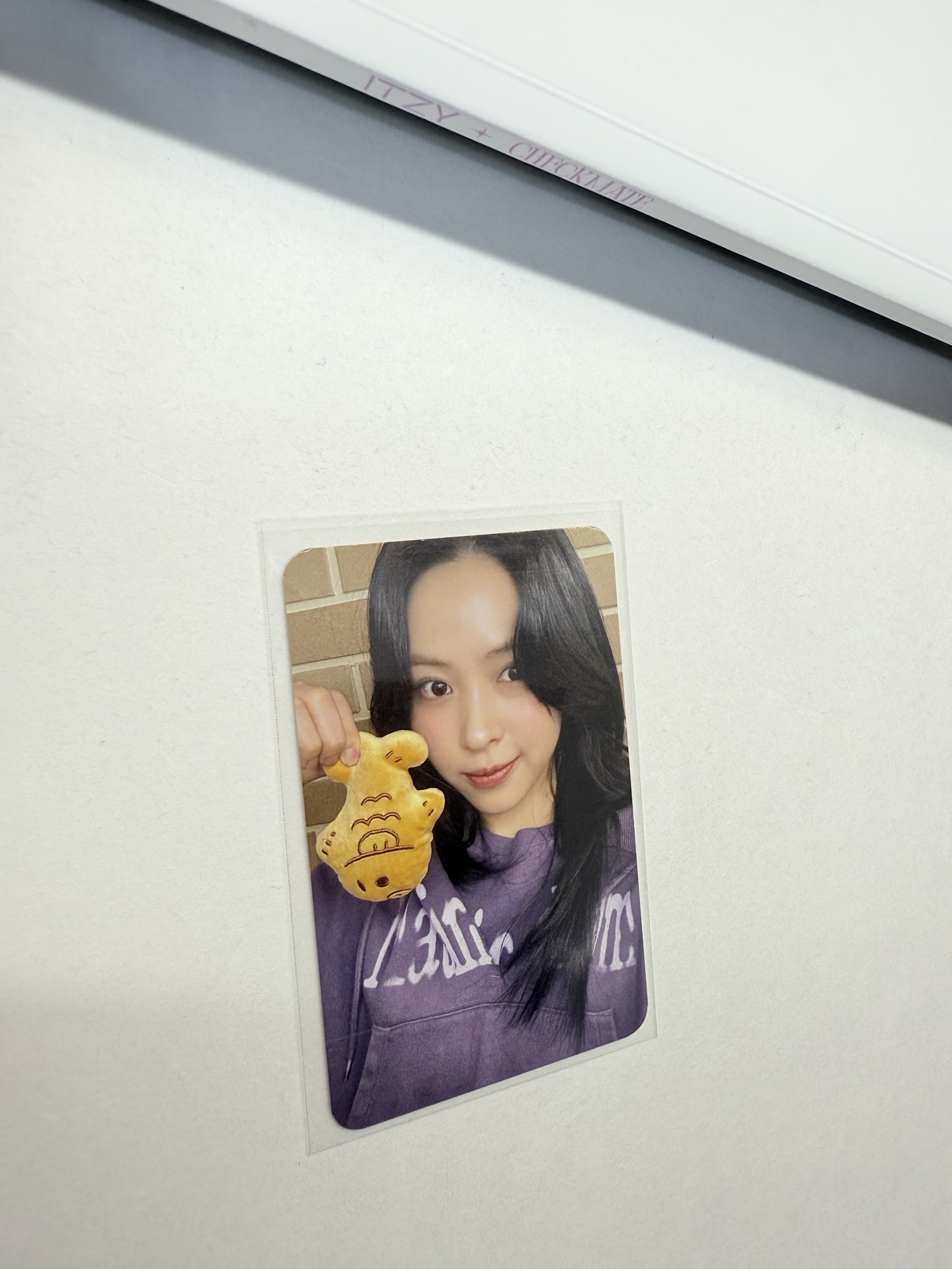 TNVS sw 日本 線下 簽售卡 鯛魚燒 留