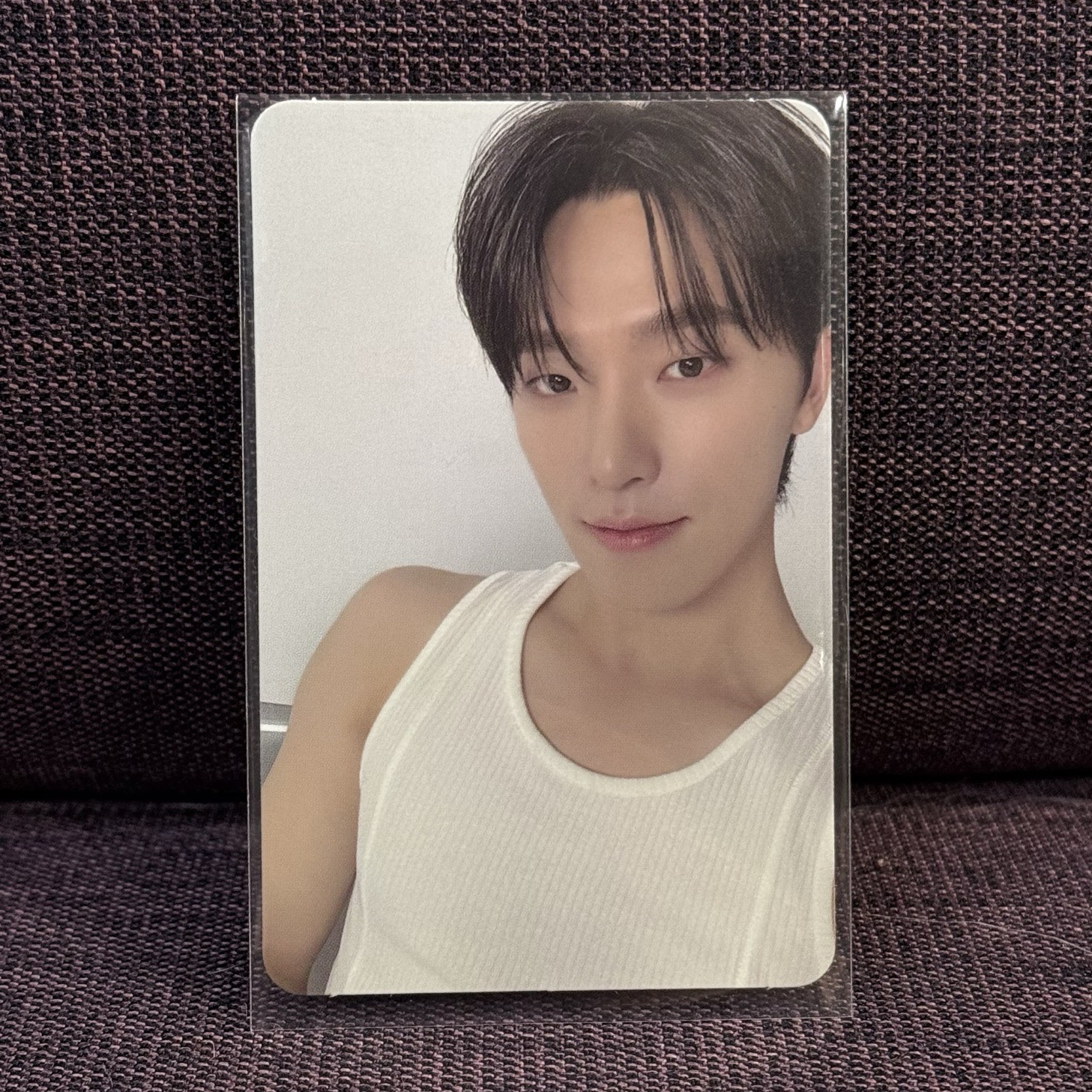 💛SEVENTEEN｜燦｜精選專 克拉盤隨機卡