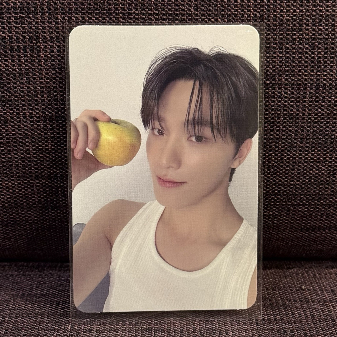 💛SEVENTEEN｜燦｜精選專 克拉盤隨機卡