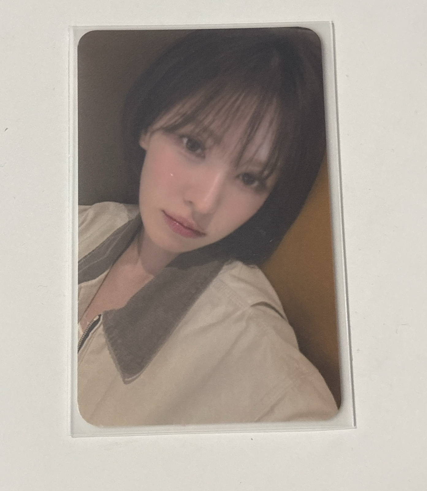 櫻花季入場卡Wendy