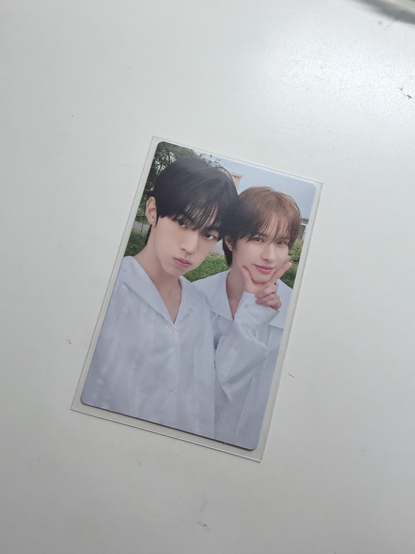 草地26雙人卡🌱