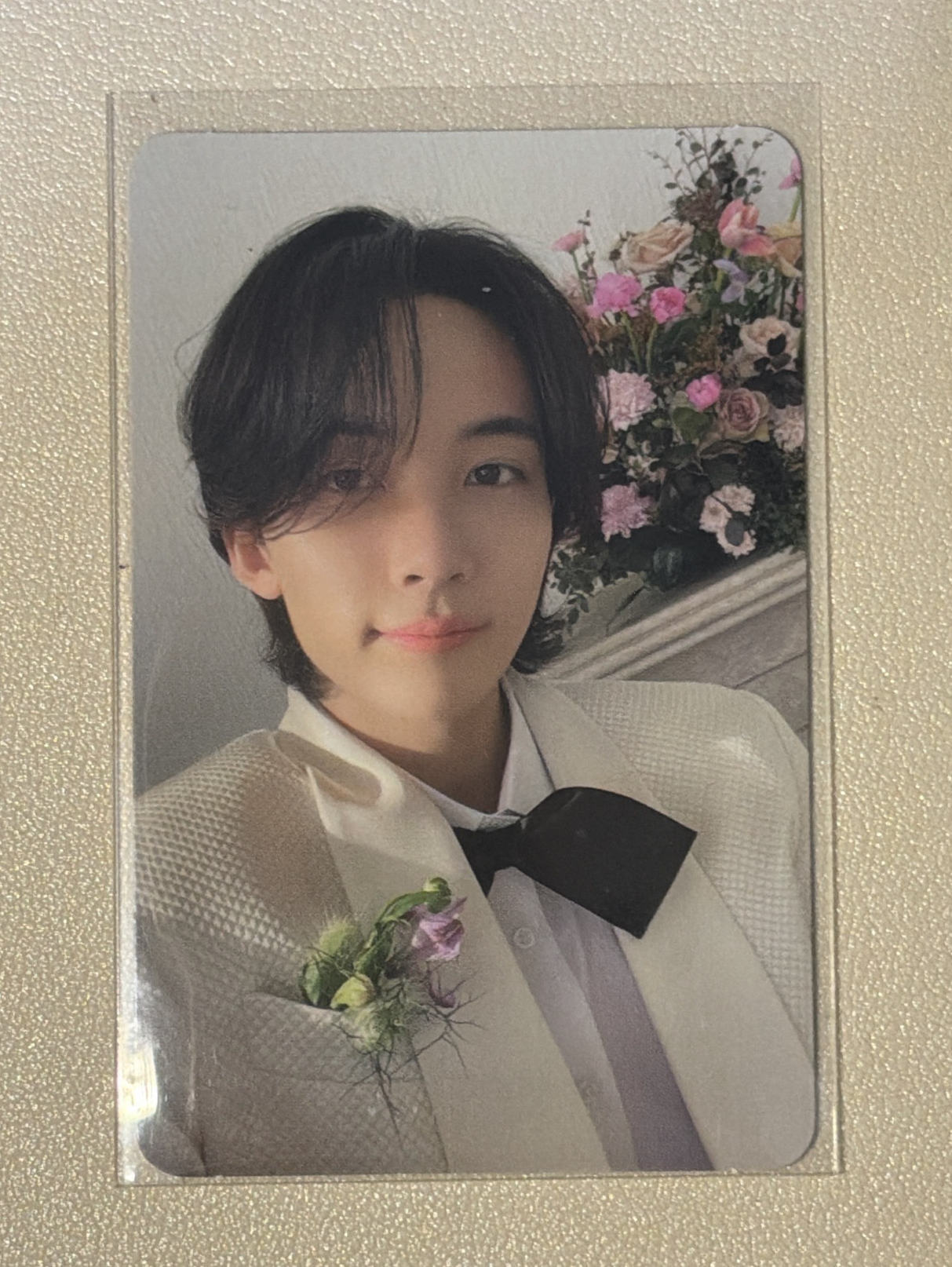 淨漢 迷10克拉盤