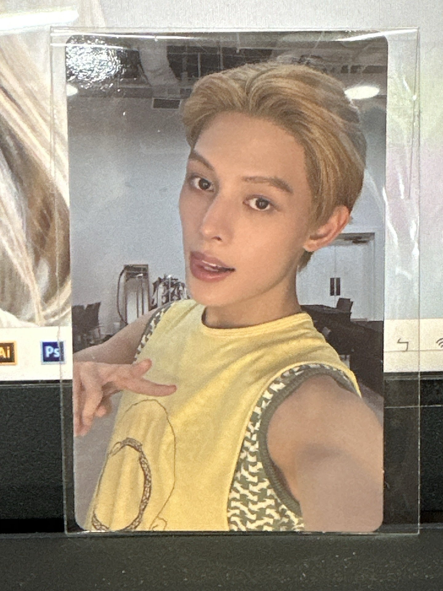 趙雨凡 WVS 幸運卡