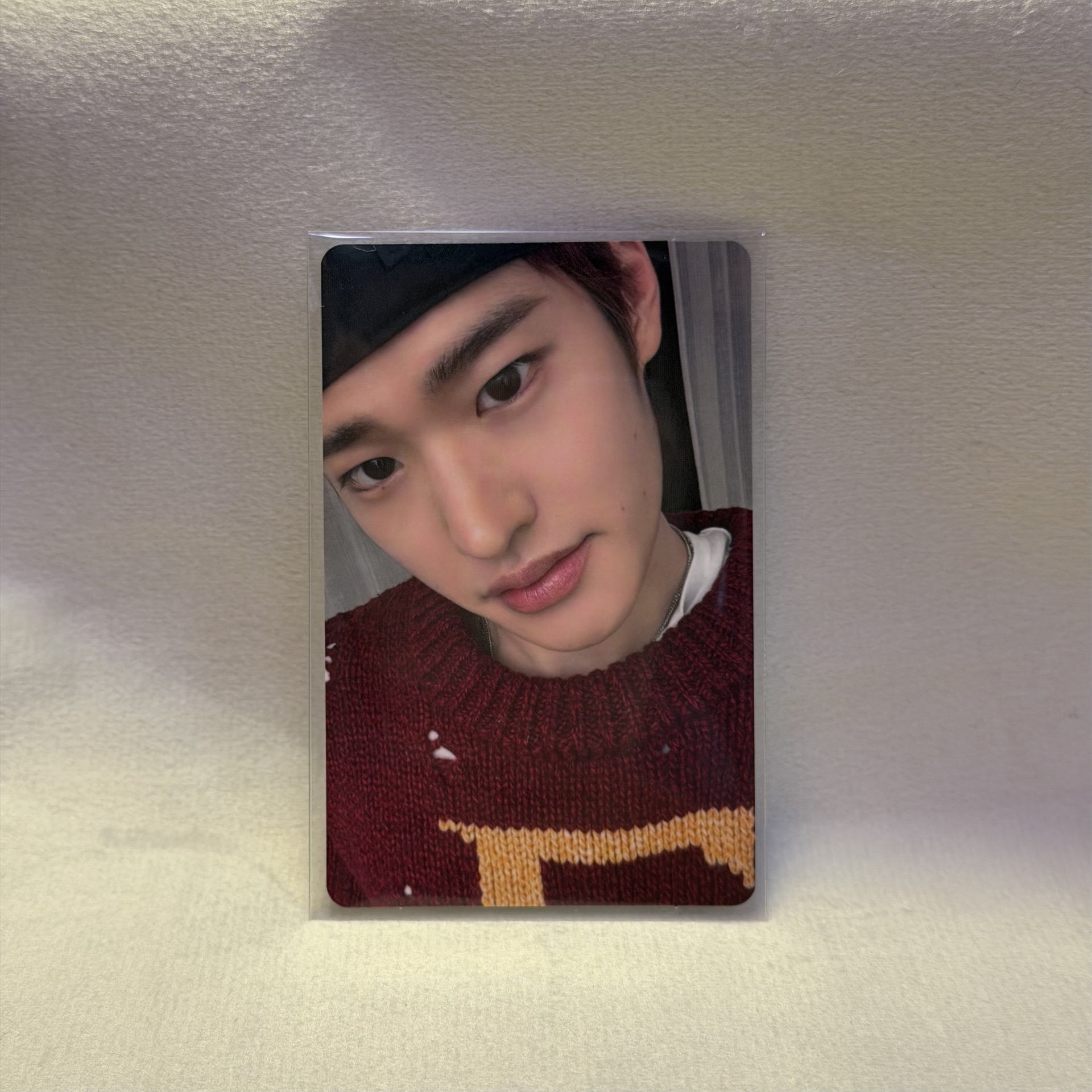 All of you 日專專卡 日文卡背 SOHEE