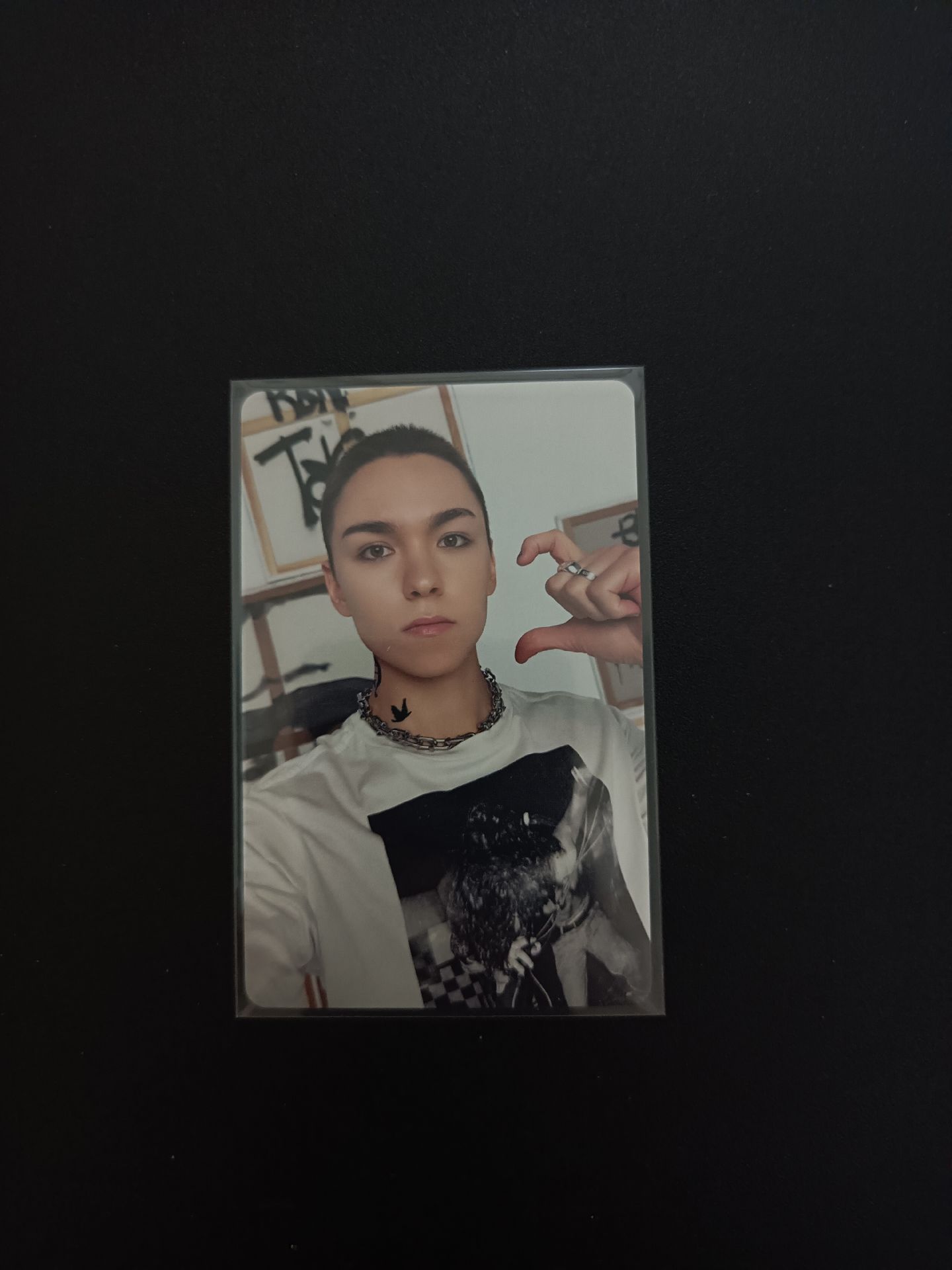 正規五克拉盤隨機-3