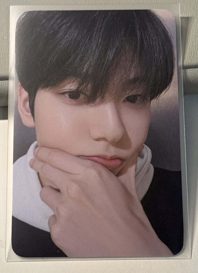 超萌阿貢包彬彬