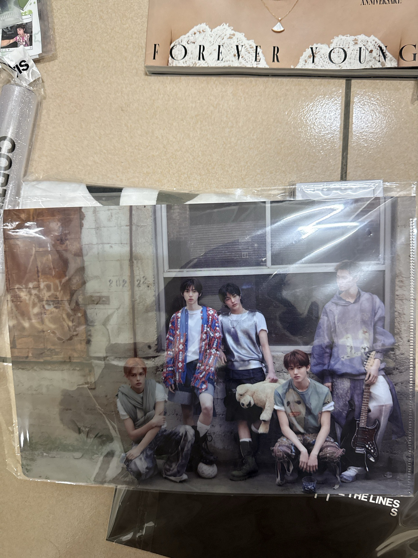 ✨全新特典資料夾