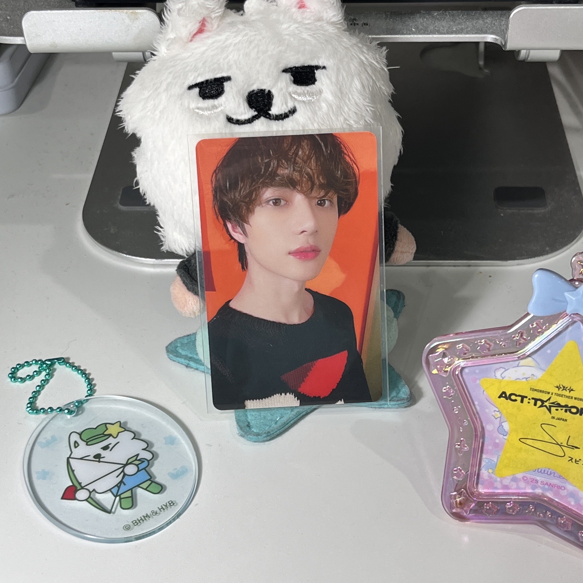 年曆捲毛小熊圭