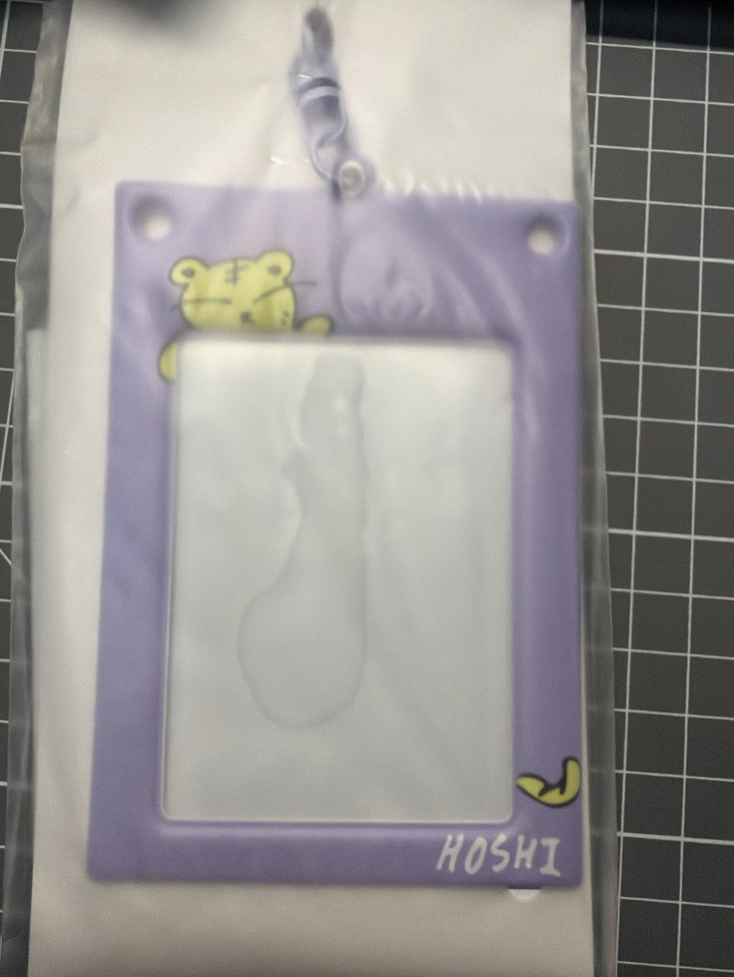 2024 HOME 卡套 榮