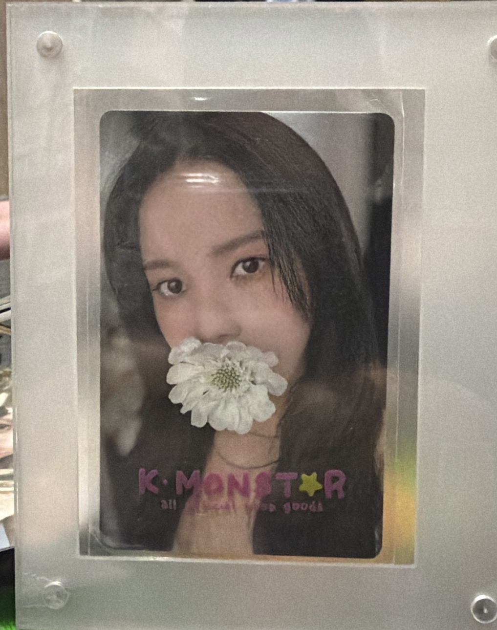 COLOURS RBW Nemo ALBUM 預購 特典卡 